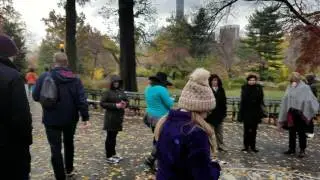 Sunday morning in Strawberry Fields