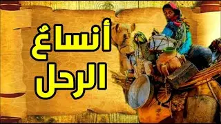 #الأمالي الحلقة 12/ أنساعُ الرَّحْلِ، وشرح بيتين لأبي الطيب #المتنبي