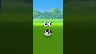 When Shiny Pok&eacute;mon Run Away... #pokemongo #pogo #pokemon #johtotour