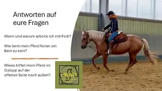 Die Westernreitstunde Antworten auf eure Fragen zu Fork und Schenkelhilfe