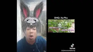 anh phương indol