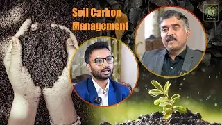 Healthy Soils, Better Tea: The Role of Carbon in Tea Plantations (Tea Time Ep. 19)
