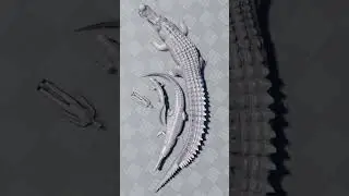Des nouvelles de la crocs updates ! PE