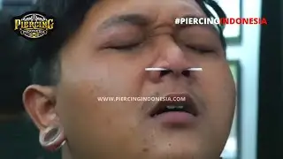 Septum Piercing dan Bagaimana Cara Menyembunyikannya (Tindik Septum)