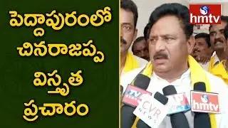TDP Candidate Nimmakayala Chinarajappa Election Campaign in Peddapuram | hmtv