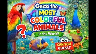 Guess the Most Colorful Animals in the World 🌈