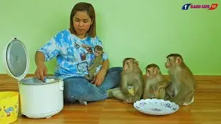 Smart Kako Family Have Lunch Together