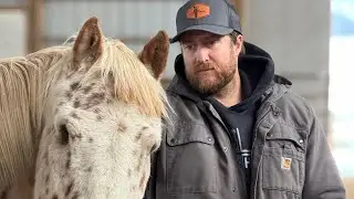 Horse rescue STUFF