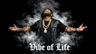 Vibe of Life