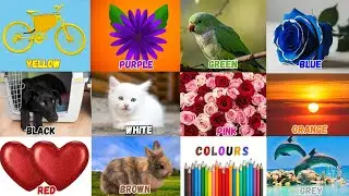 We Love All the Colors | Color Song | Learn Colors Fast | Nursery Rhymes & Kids Song  #LearnColors
