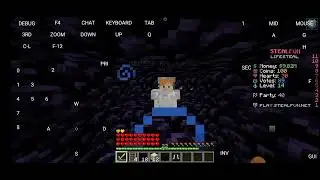 Testing of fire aspect 1,2,3 in stealfun! #stealfun #Gamer#shortvideo #minecraft #minecraftjava