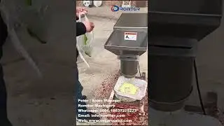 Automatic Vegetable Paste Crushing Making Machine