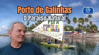 Porto de Galinhas: O Paraíso Natural de Pernambuco | Recife das Águas