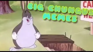 BIG CHUNGUS MEME COMPILATION