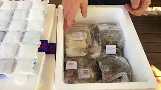 Delivery Packaging of PetWave.com.au Frozen Feeders