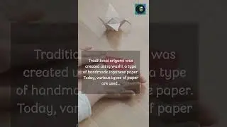 Folding Dreams: The Artistry and Beauty of Origami #shorts #facts #origami