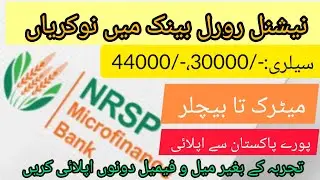 NRSP Microfinance Bank Jobs 2022 - NRSP Bank Apply online from All Pakistan - New Bank Jobs