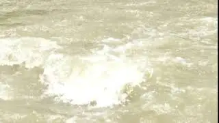 bihar top news || bihar flood 2020 || bhawanipur