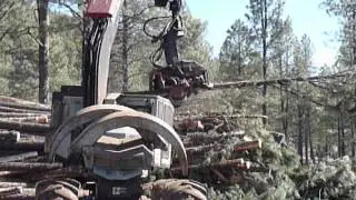 Operating in the Woods: Ponderosa Pine thinning in Eastern AZ