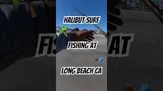 Halibut surf fishing at Belmont pier! #fishing #fish #beach #surf #longbeach #halibut