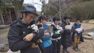 ２８頭のヤギと暮らす日置市の５人家族の夢は？