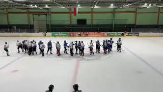Чемпионат ЛХЛ. ХК Скорпионс - ХК Рысь