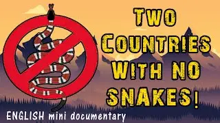 Two Countries With No Snakes | Mini Documentary
