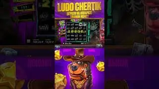 ПОЙМАЛ МАКСВИН В CHAOS CREW2 #slot #maxwin #casino #крейзитайм #занос #bigwin #заносы #заносынедели