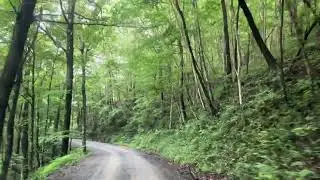 tatham gap downhill