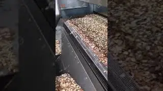 Continuous Peanut Roasting Machine | Feedback from Argentina