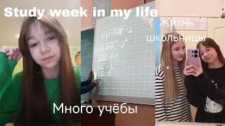 Study week in my life 🎀 || Неделя учёбы || vvixsi #учеба #влог