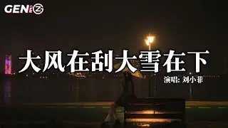 龙妹儿 - 大风在刮大雪在下(深情女版)│Da Feng Zai Gua Da Xue Zai Xia - Long Mei Er『别在这个冬把我给丢下，熬过了风雪熬过了冬天』【动态歌词MV】