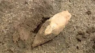 Guilford YUMA Dart Point! ~ 301  Artifact Find! May 2015
