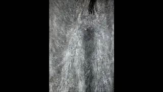Mind Navigation / Wyllyll