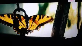 4k upscale blue ray vs 1080p blue ray