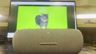 Harman Kardon LUNA   藍芽喇叭Unboxing測試單雙喇叭(OIIA OIIA)spinning cat#unboxing #harmankardon #4k #bluetooth