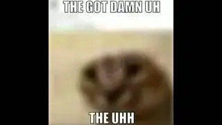 The got damn uh the uhh video