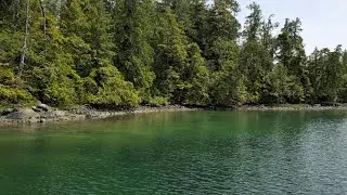 Beautiful Natural Places Around Vancouver Island You Must See