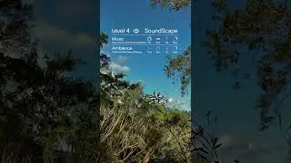 Level 4 Soundscape ~ Invigorating, refreshing & activating sound built for the background