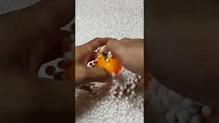 hunting toy fruit in styrofoam granules #shorts #satisfying #shorts #fruit #foryoupage