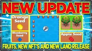 SUNFLOWER ISLES | FRUIT UPDATE IS HERE