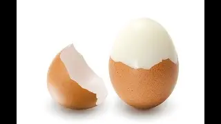 多忙ハドボ