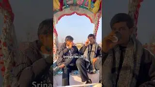 Srinagar Dal Lake #song #bollywood #srinagar #kashmirsrinagar #kashmir #dallakesrinagar #shortsvideo