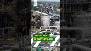 World Bamboo Day 2025 | ₹5,000 Cr Bioethanol Plant at Numaligarh Brings Hope for Assam & NE