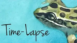 Frog Watercolour Time Lapse