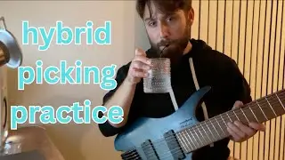 Zoomer Guitarist Thinks Hybrid Picking is Everything  |  Practice Log #14