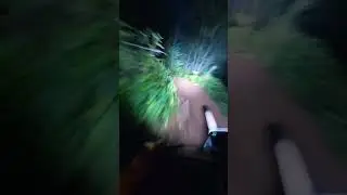 What do you think is chasing him? (@markymath)