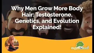 Why Men Grow More Body Hair: Testosterone, Genetics, and Evolution Explained!