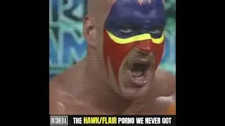 The Hawk Flair Porno We Never Got #botchaholics #nfsmedia