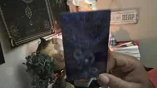 Gemini New Years Reading 🎉